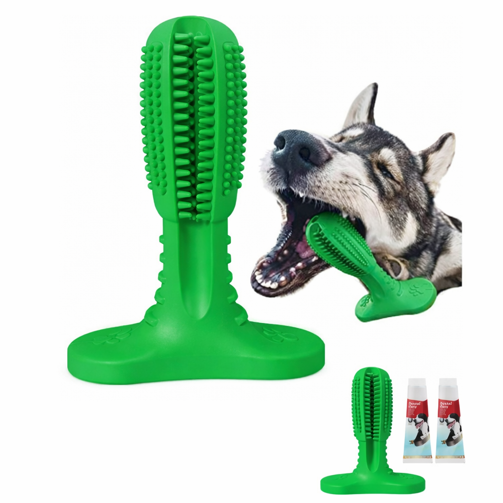Mordedor Dental para Perros
